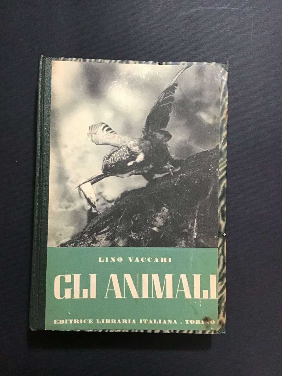 GLI ANIMALI. COMPENDIO DI ZOOLOGIA DESCRITTIVA / LE PIANTE. BOTANICA …