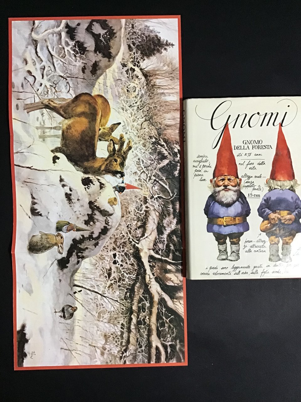 GNOMI. PRIMA EDIZIONE CON POSTER