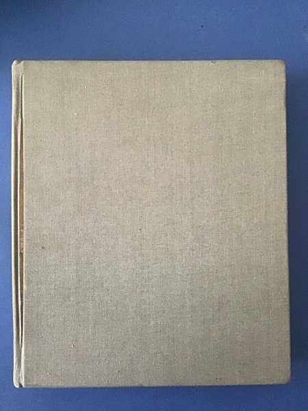 GOTISCHE BAUKUNST IN OSTERREICH