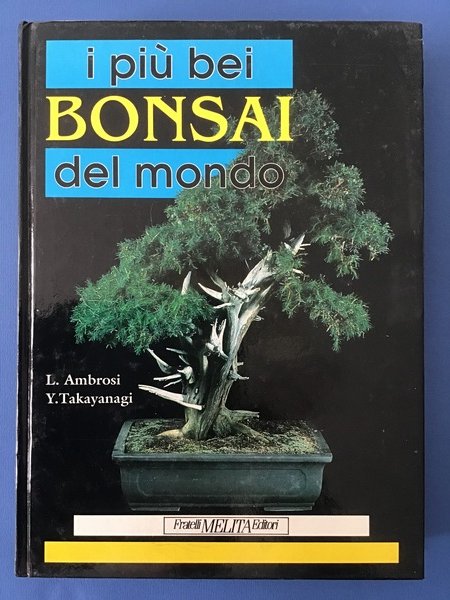 I PIU' BEI BONSAI DEL MONDO