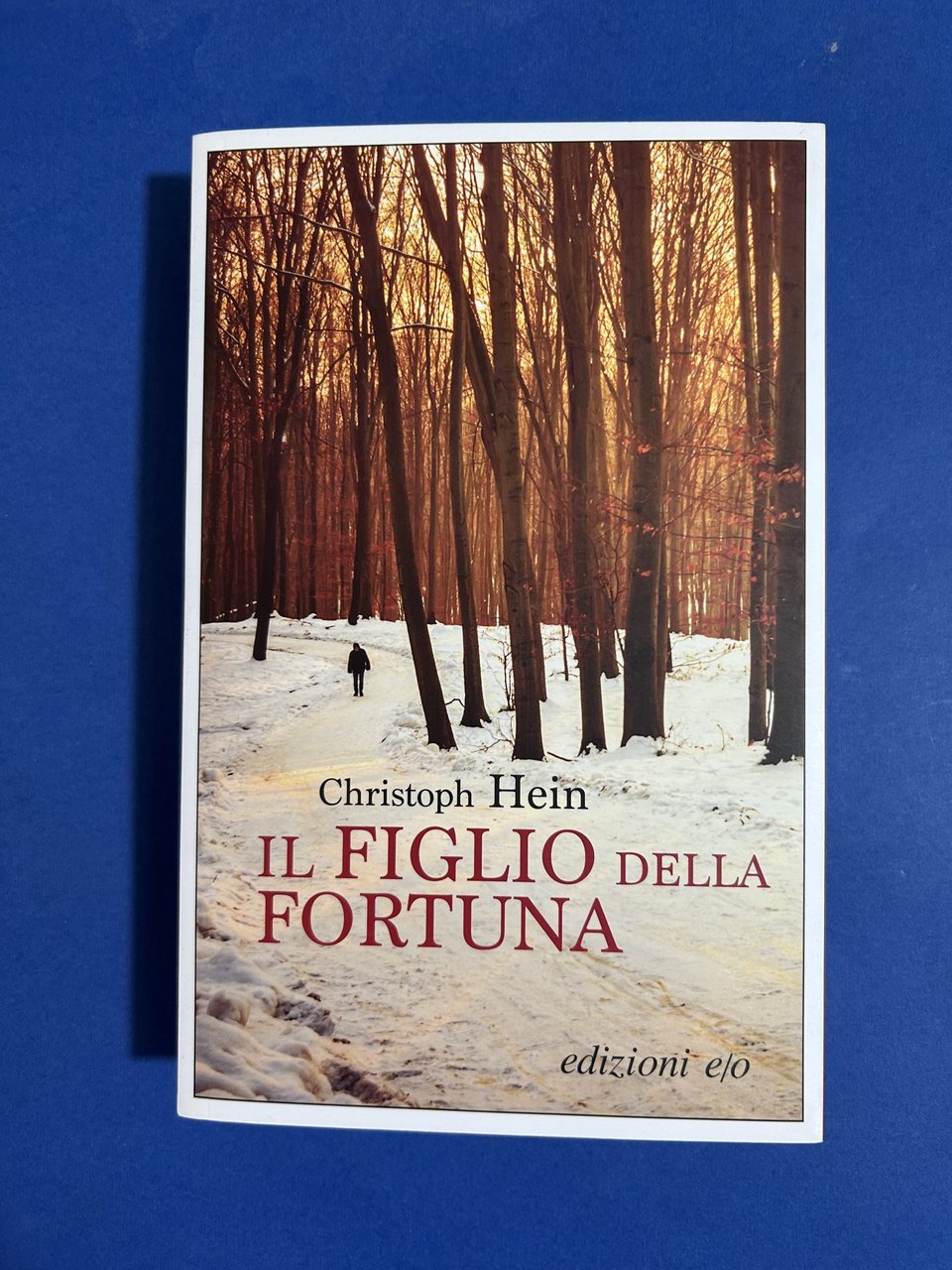 IL FIGLIO DELLA FORTUNA