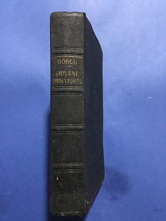 IL GIOVANE PROVVEDUTO