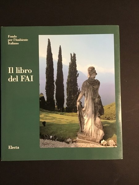 IL LIBRO DEL FAI