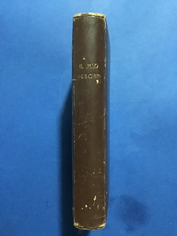 IL MIO TESORO