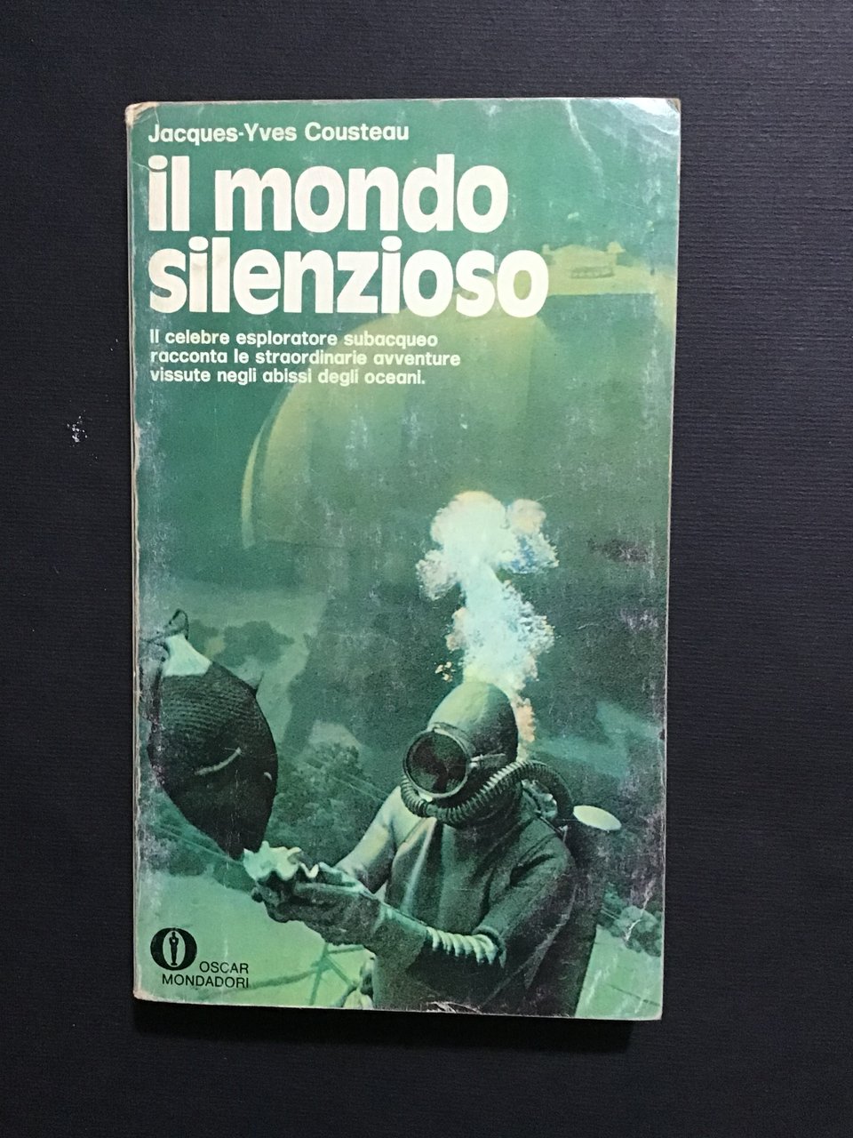 IL MONDO SILENZIOSO