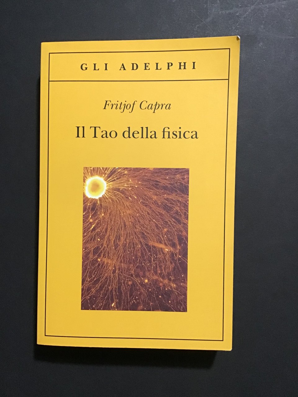 IL TAO DELLA FISICA | Immagine principale