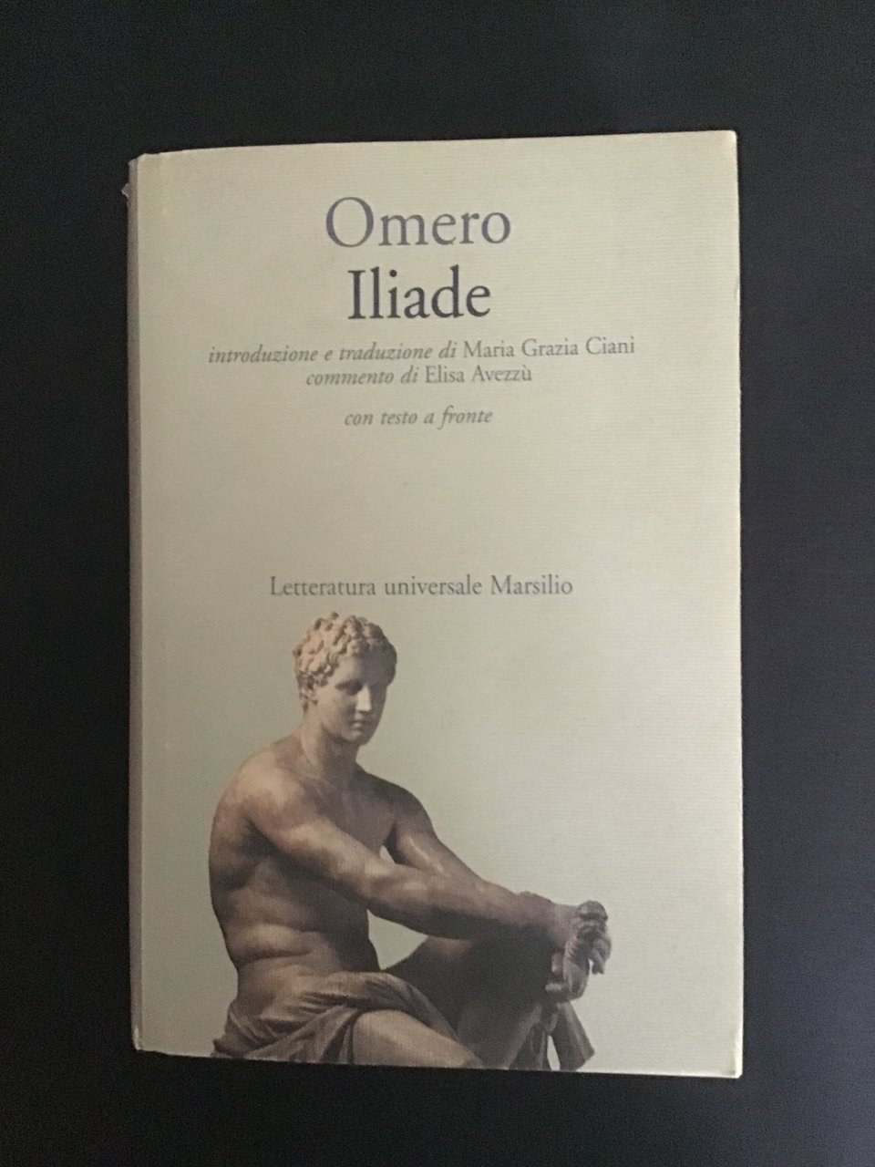 ILIADE | Immagine principale