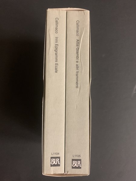 Inni epigrammi frammenti