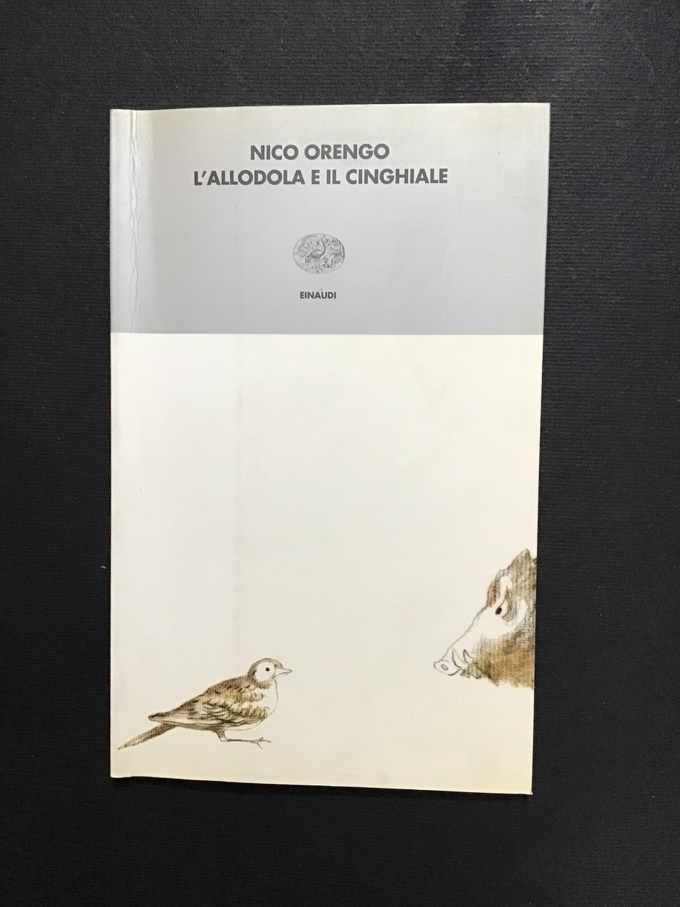 L'ALLODOLA E IL CINGHIALE