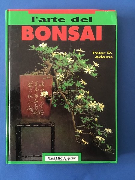 L'ARTE DEL BONSAI