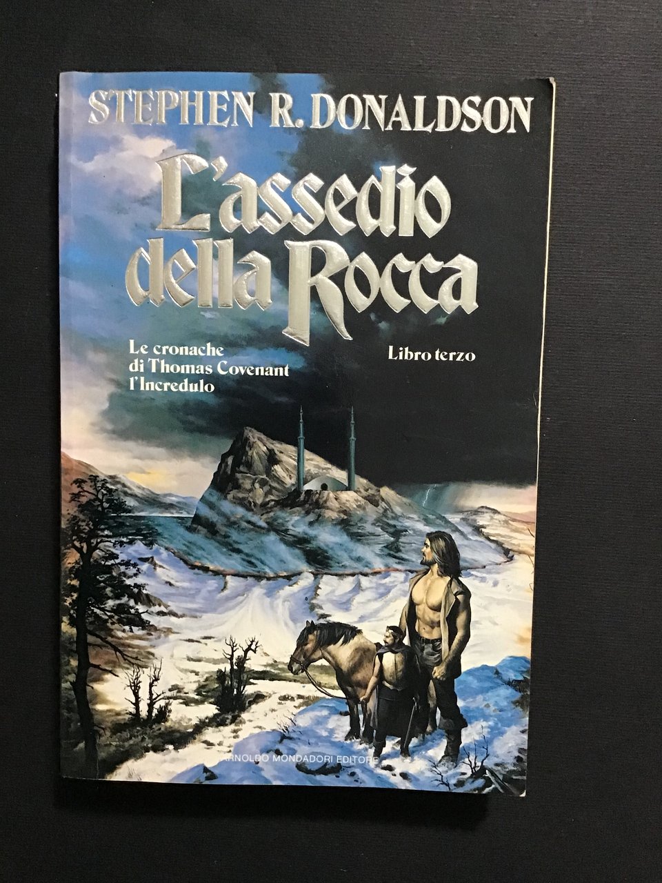 L'ASSEDIO DELLA ROCCA