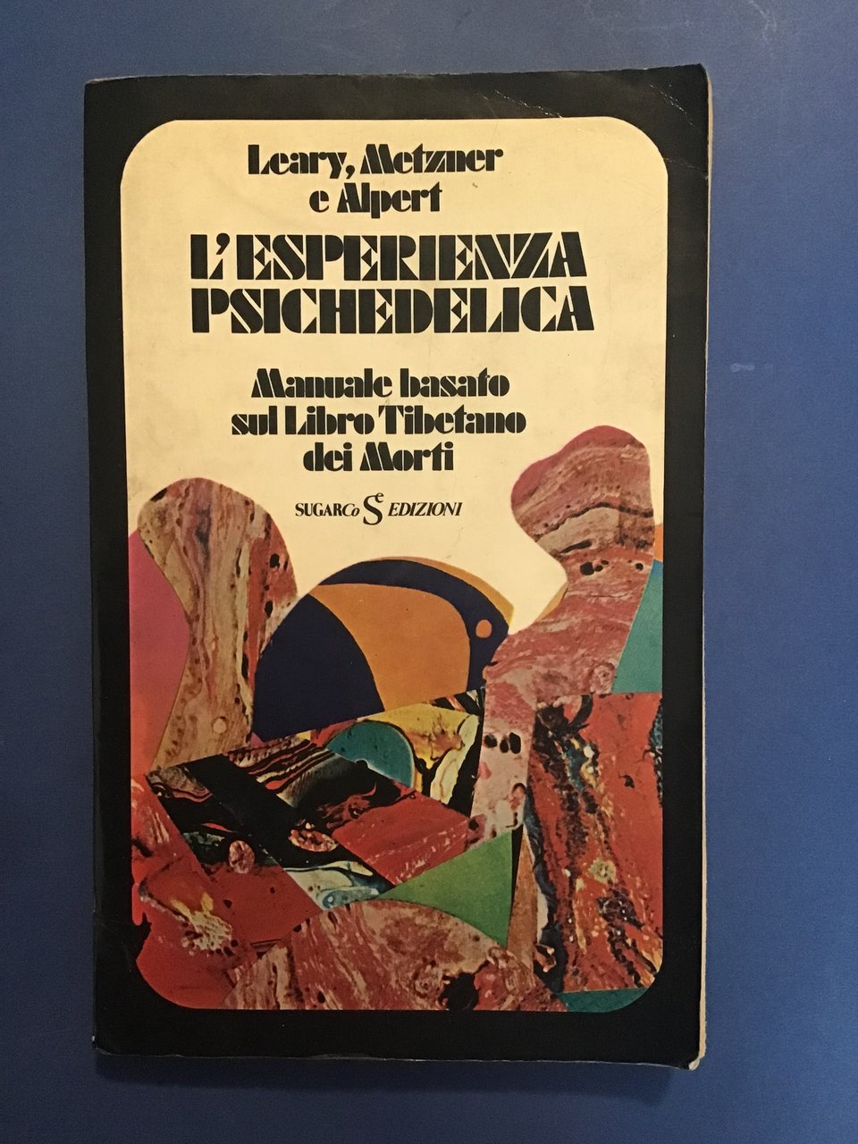 L'ESPERIENZA PSICHEDELICA