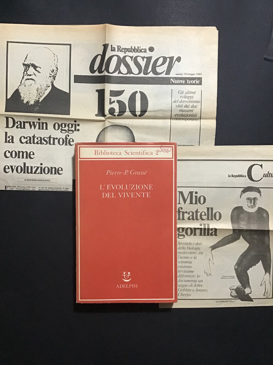 L'EVOLUZIONE DEL VIVENTE | Immagine principale