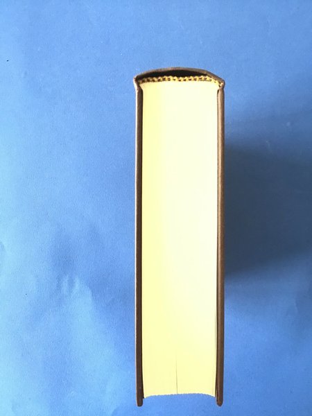 L'ITALIA. REGNO LOMBARDO-VENETO E MINORI STATI VICINI - TOMO IV