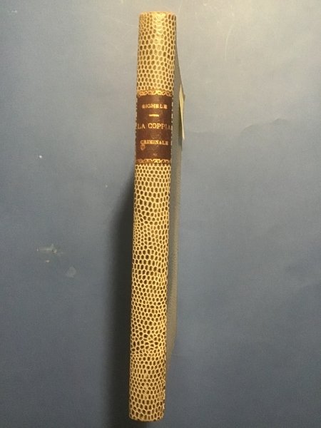 LA COPPIA CRIMINALE. STUDIO DI PSICOLOGIA MORBOSA