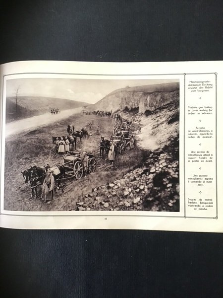 LA GRANDE GUERRA ILLUSTRATA