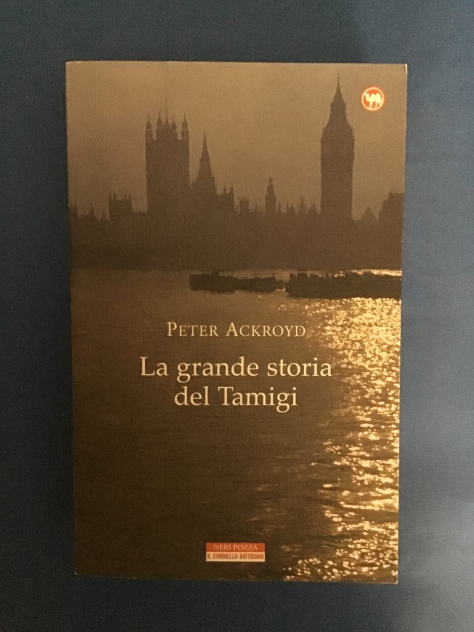 LA GRANDE STORIA DEL TAMIGI