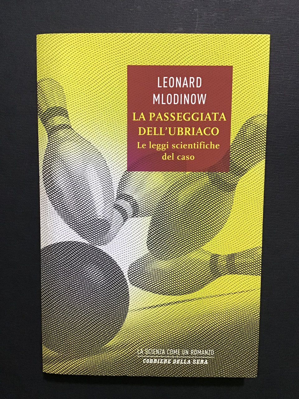 LA PASSEGGIATA DELL'UBRIACO. LE LEGGI SCIENTIFICHE DEL CASO