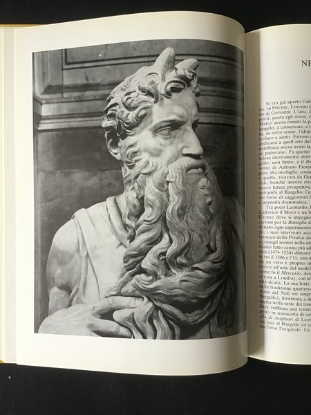 LA SCULTURA DEL CINQUECENTO