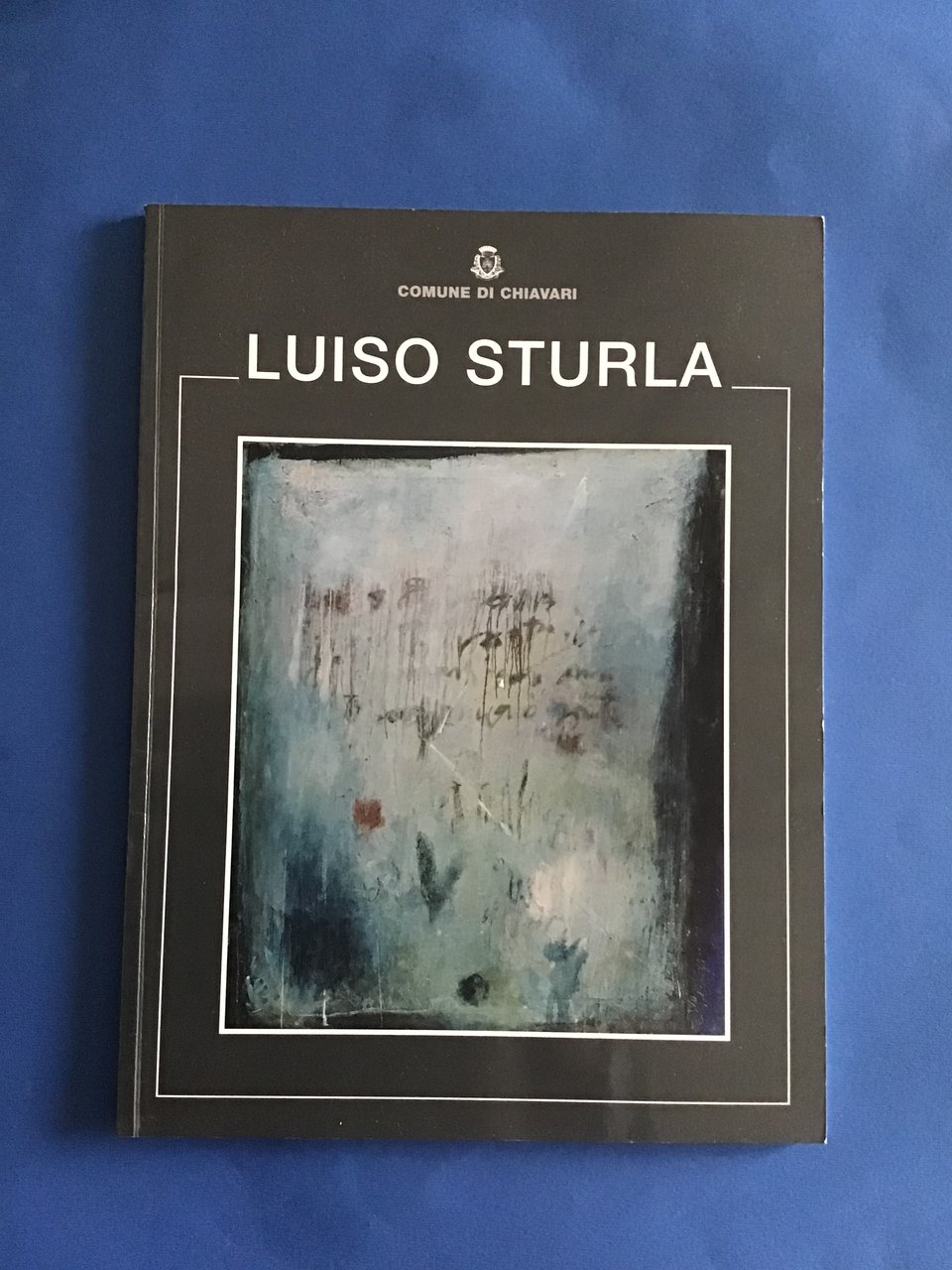 LUISO STURLA | Immagine principale