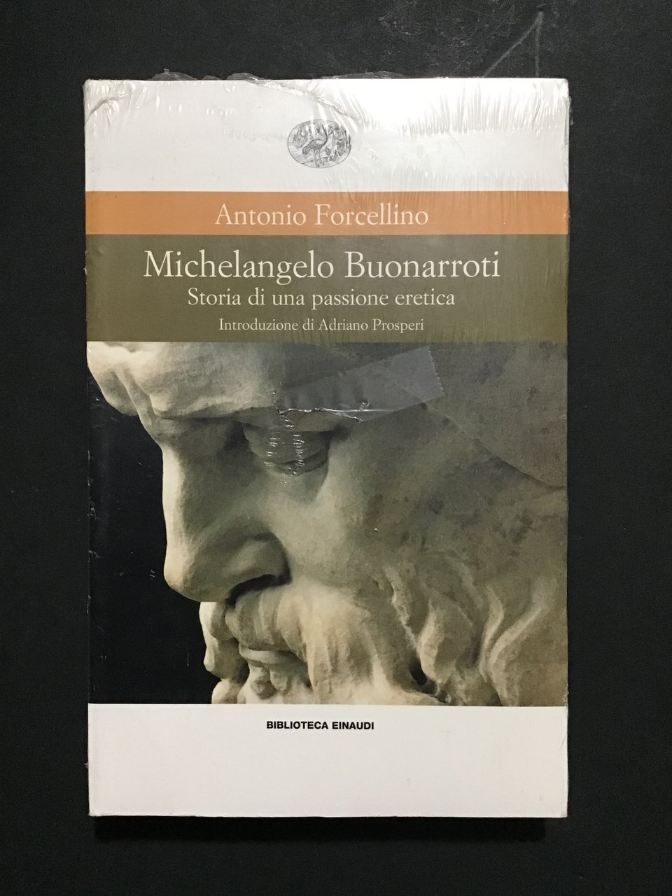 MICHELANGELO BUONARROTI. STORIA DI UNA PASSIONE ERETICA | Immagine principale