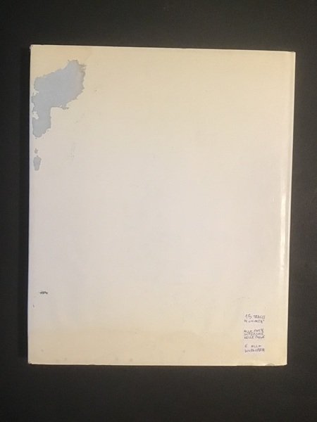 PALAZZO VALPERGA GALLEANI DI BARBARESCO A TORINO