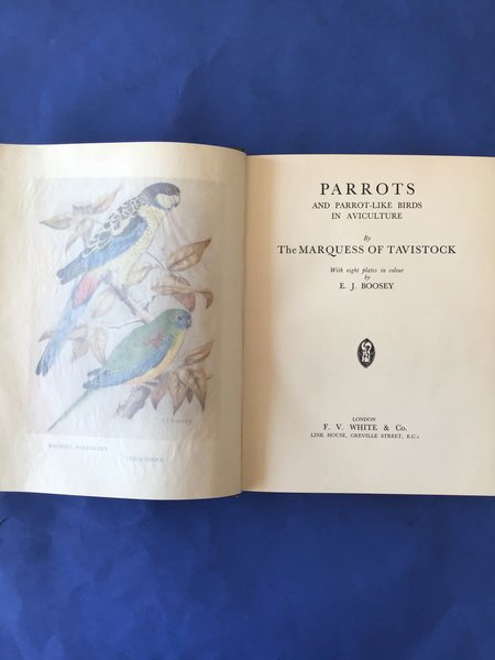 PARROTS AND PARROT-LIKE BIRDS IN AVICULTURE