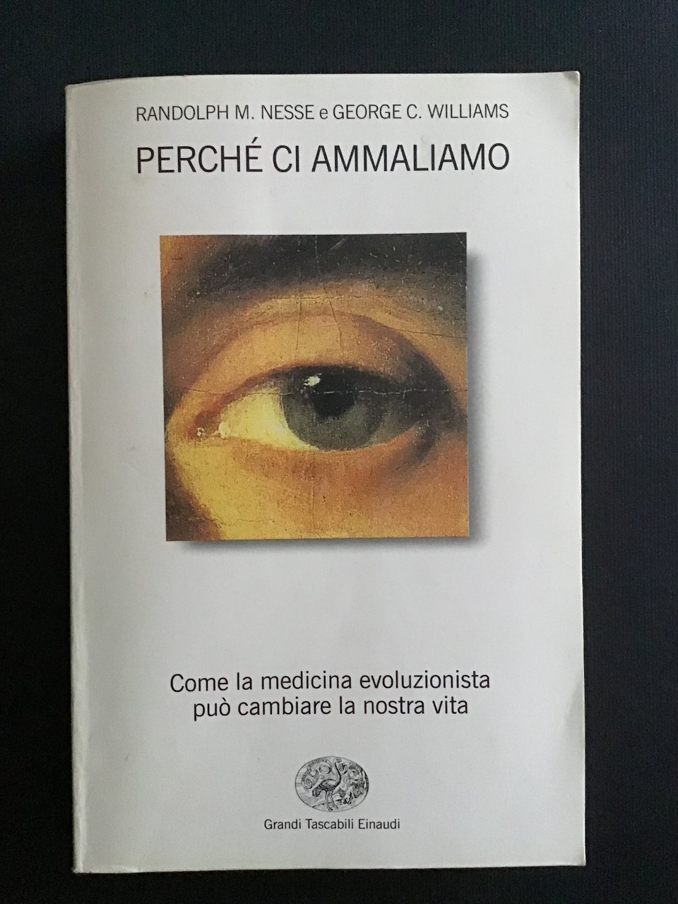PERCHE' CI AMMALIAMO