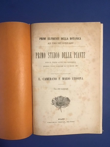 PRIMO STUDIO DELLE PIANTE