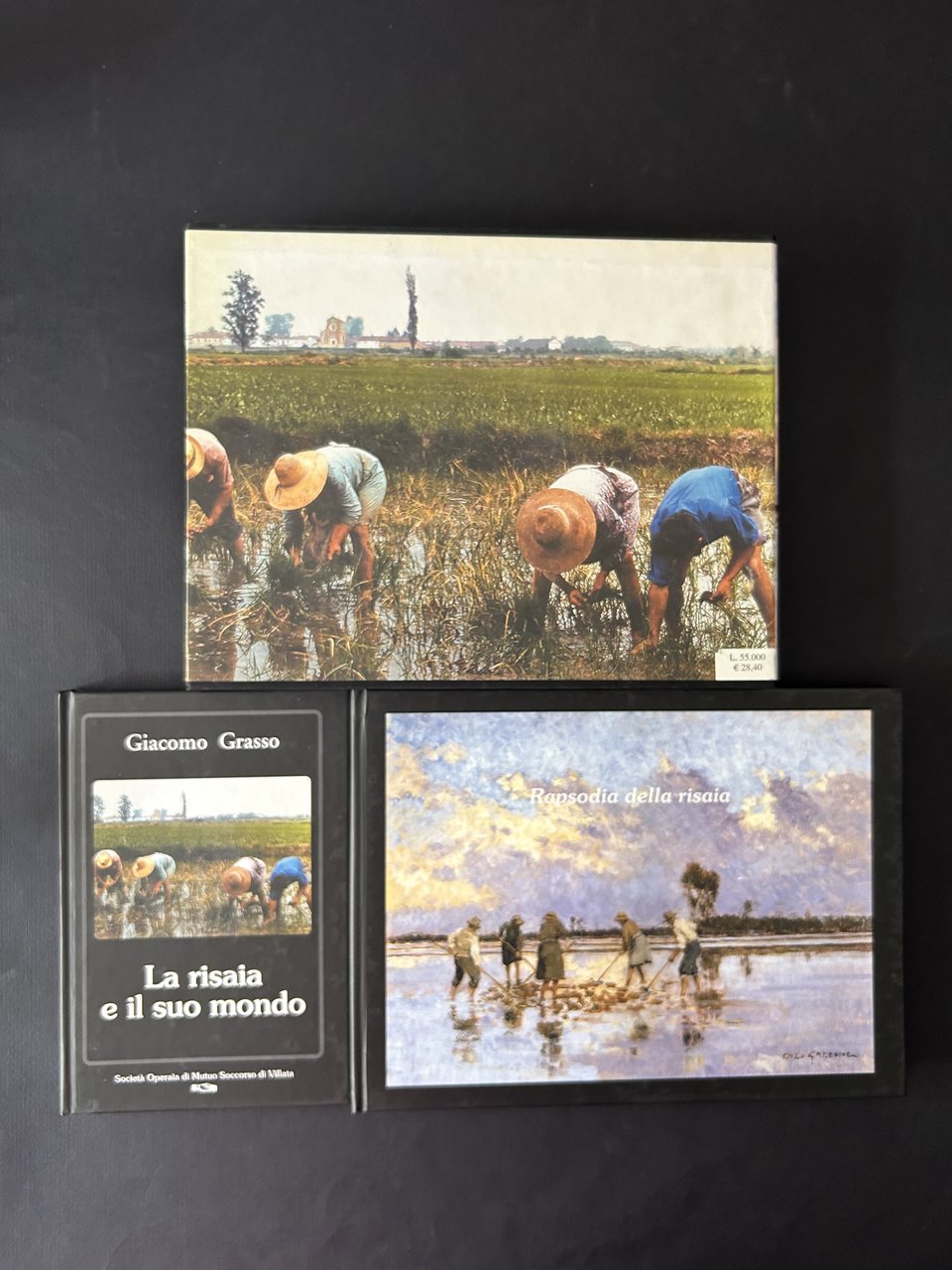 RAPSODIA DELLA RISAIA / LA RISAIA E IL SUO MONDO