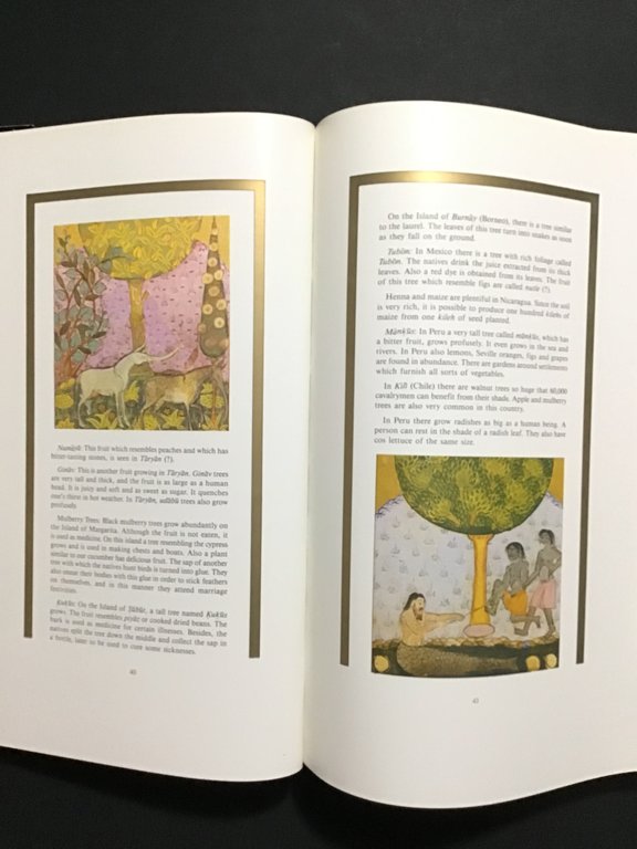 TARIH-I HIND-I GARBI VEYA HADIS-I NEV (A HISTORY OF THE … | Immagine Gallery 2