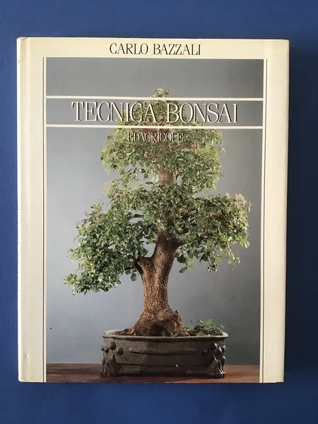 TECNICA BONSAI | Immagine principale