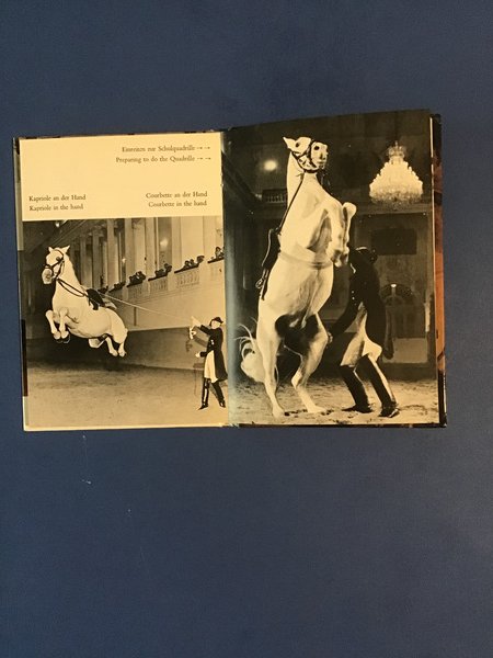 THE LIPIZZANERS AND THE SPANISH RIDING SCHOOL
