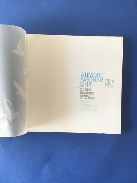 TORINO SI ILLUMINA DI BLU