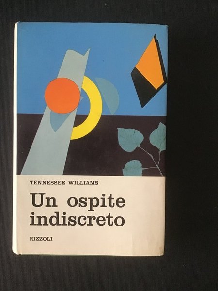 UN OSPITE INDISCRETO