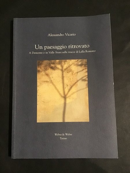 UN PAESAGGIO RITROVATO. A DEMONTE E IN VALLE STURA SULLE …
