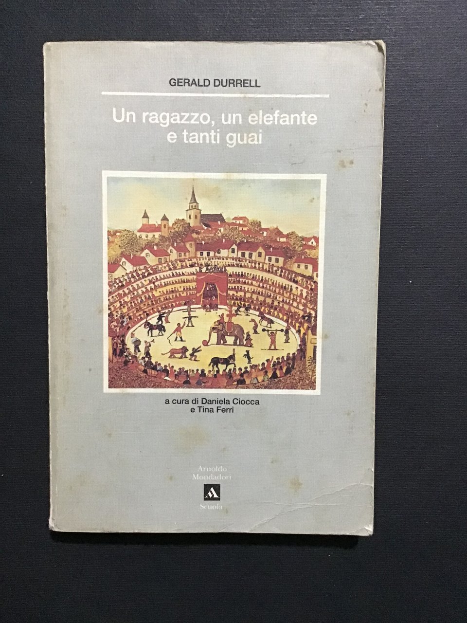 UN RAGAZZO, UN ELEFANTE E TANTI GUAI