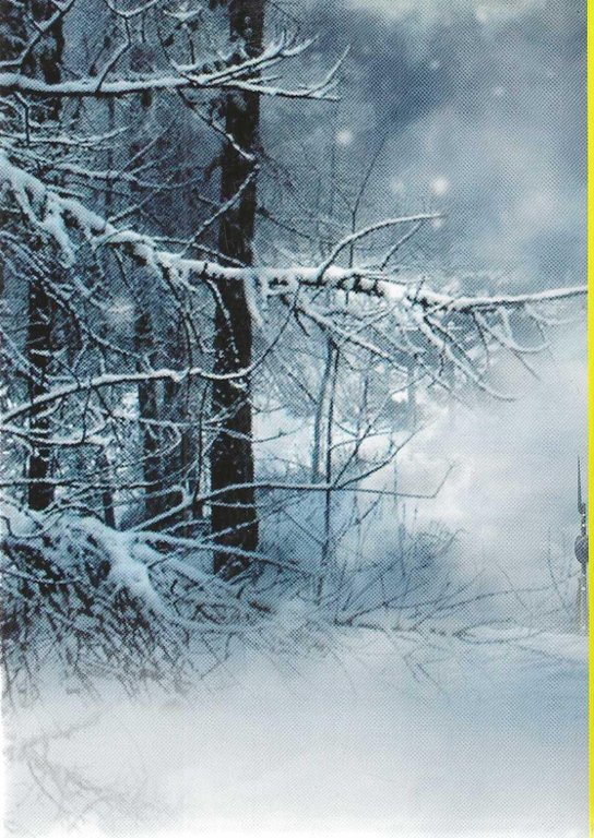 "Gli eserciti delle guerre napoleoniche"