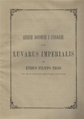 Ricerche zootomiche e istologiche sul Luvarus Imperialis.