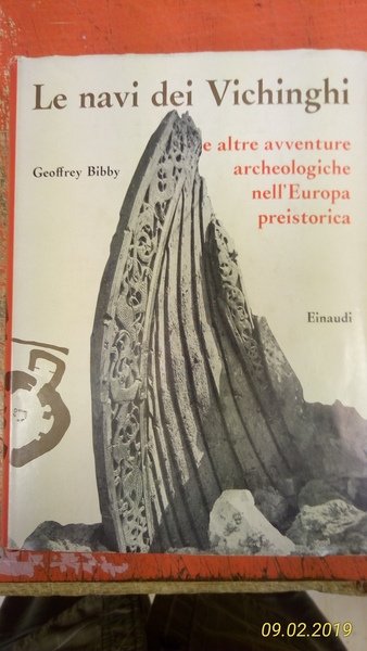 Le navi dei Vichinghi e altre avventure archeologiche nell'Europa preistorica.