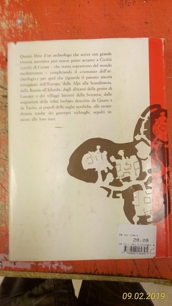 Le navi dei Vichinghi e altre avventure archeologiche nell'Europa preistorica.