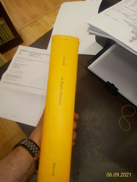 Da Hegel a Nietzsche. La frattura rivoluzionaria nel pensiero del …