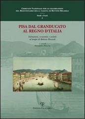 Pisa dal granducato al Regno d'Italia. Istituzioni, economia e società …