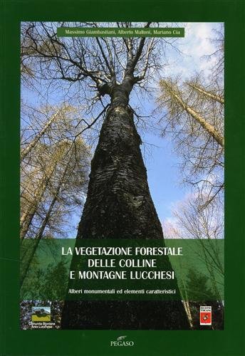La vegetazione forestale delle colline e montagne lucchesi. Alberi monumentali ed elementi caratteristici.