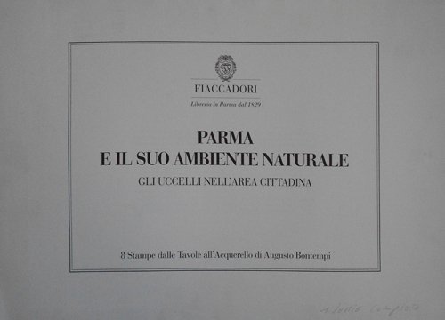 Parma e il suo ambiente naturale, gli uccelli nell'area cittadina.