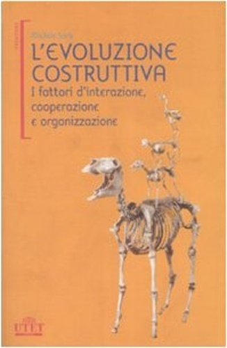 L' evoluzione costruttiva. I fattori d'interazione, cooperazione e organizzazione.