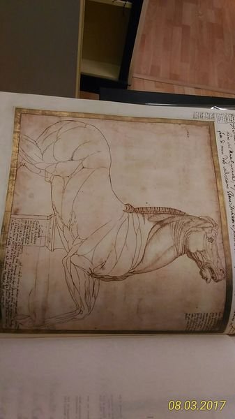 Cento tavole del Codice Resta. Custodia editoriale cartonata. 224 248 …