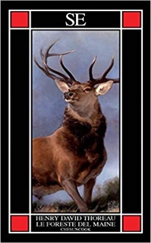 Le foreste del Maine. Chesuncook.