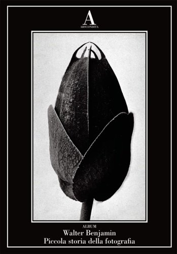 Piccola storia della fotografia.