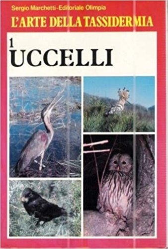 L'arte della tassidermia. Uccelli.